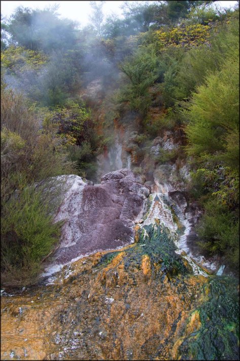 newzealandcookislands2016-335