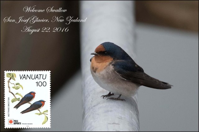 newzealandcookislands2016-359