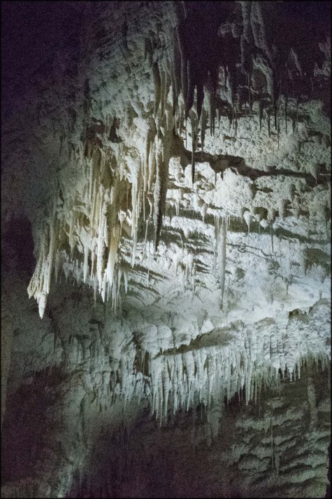 newzealandcookislands2016-381