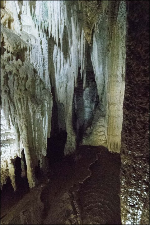 newzealandcookislands2016-385