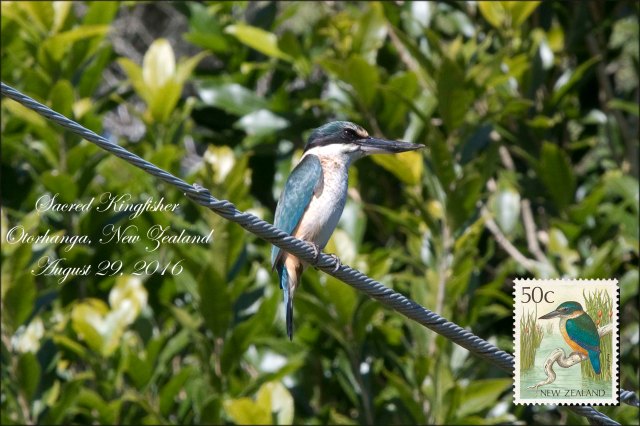 newzealandcookislands2016-394