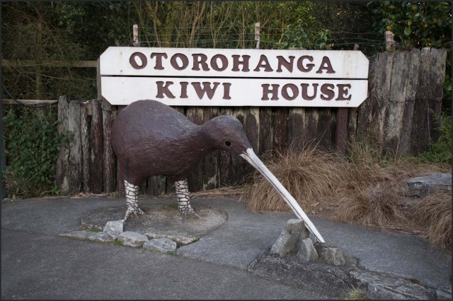 newzealandcookislands2016-412