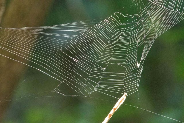 newzealandcookislands2016-453