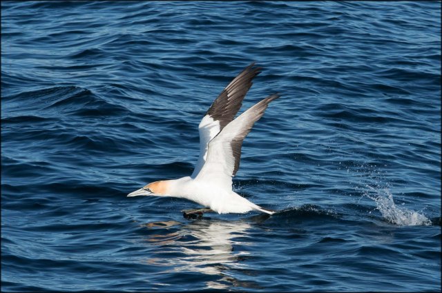 newzealandcookislands2016-462