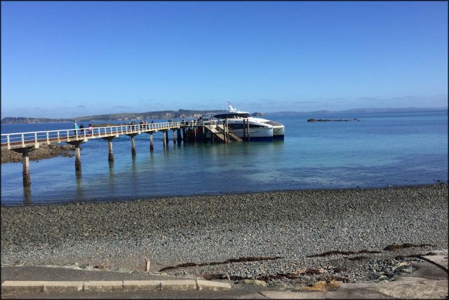 newzealandcookislands2016-470