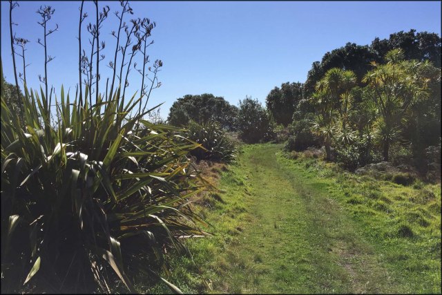 newzealandcookislands2016-472