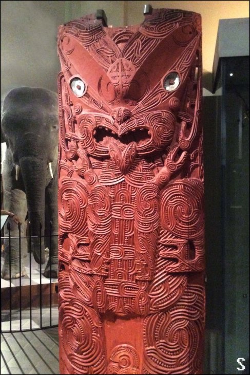 newzealandcookislands2016-476