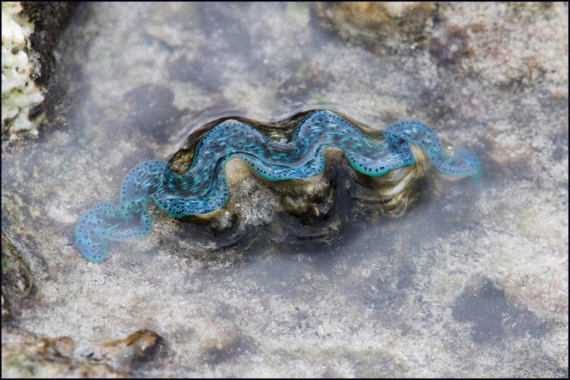 newzealandcookislands2016-507