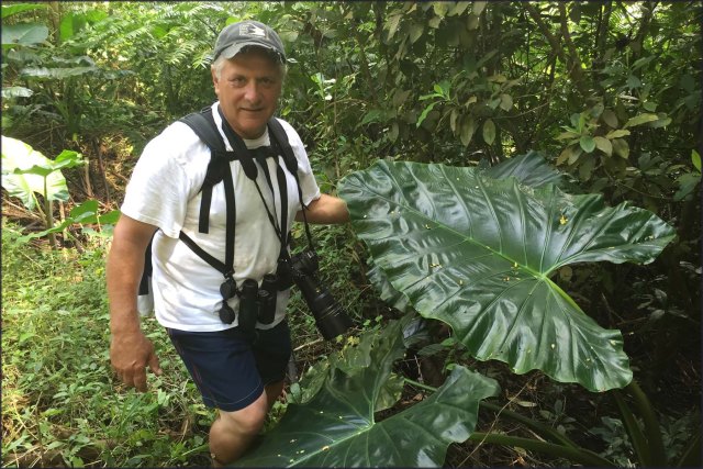 newzealandcookislands2016-511