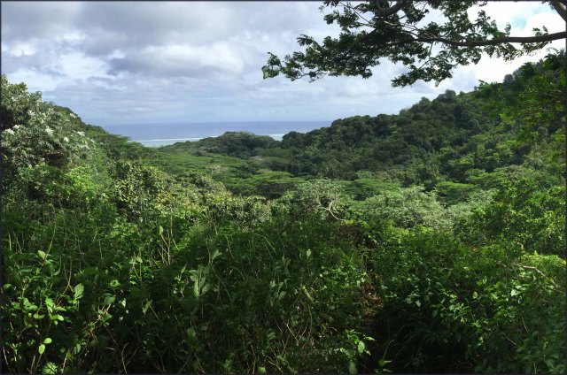 newzealandcookislands2016-512