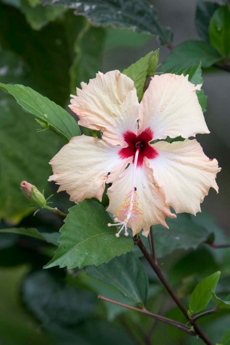 newzealandcookislands2016-527