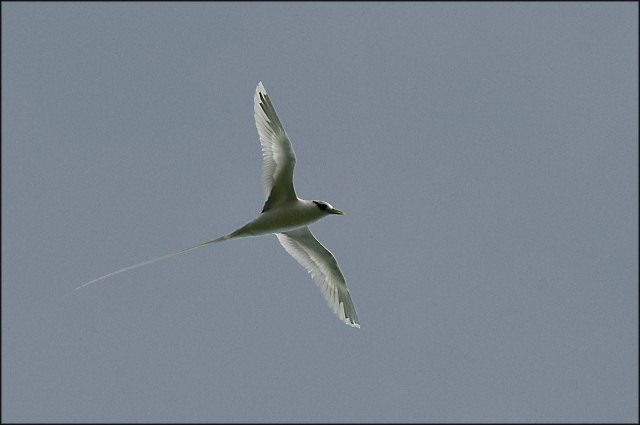 newzealandcookislands2016-540