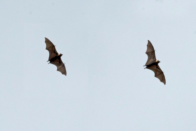 newzealandcookislands2016-543