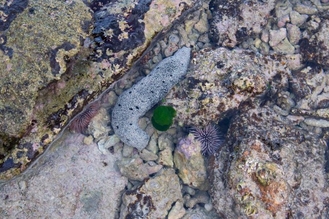 newzealandcookislands2016-544