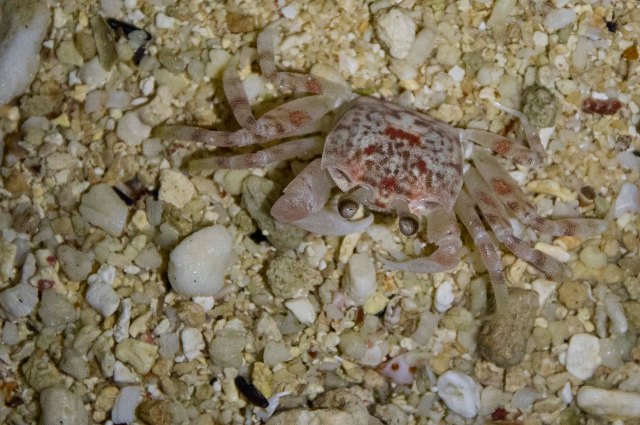 newzealandcookislands2016-550