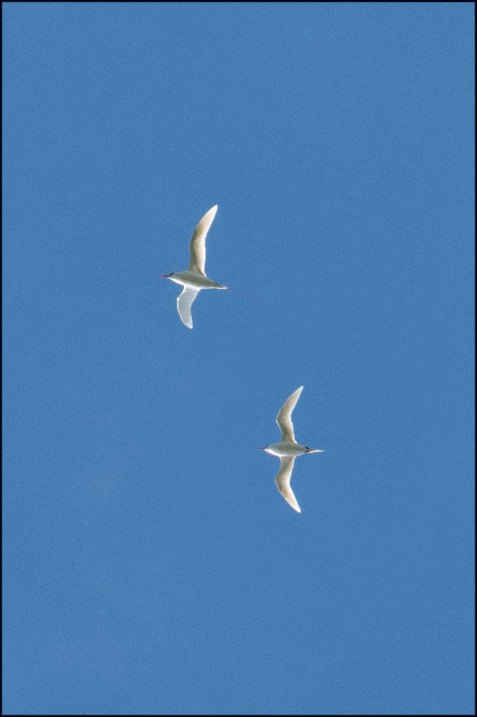 newzealandcookislands2016-560