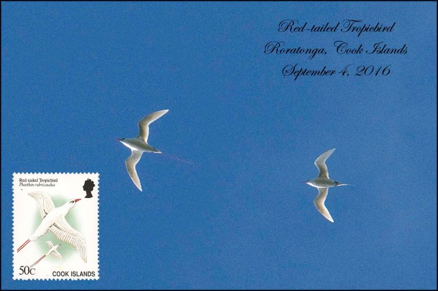 newzealandcookislands2016-561